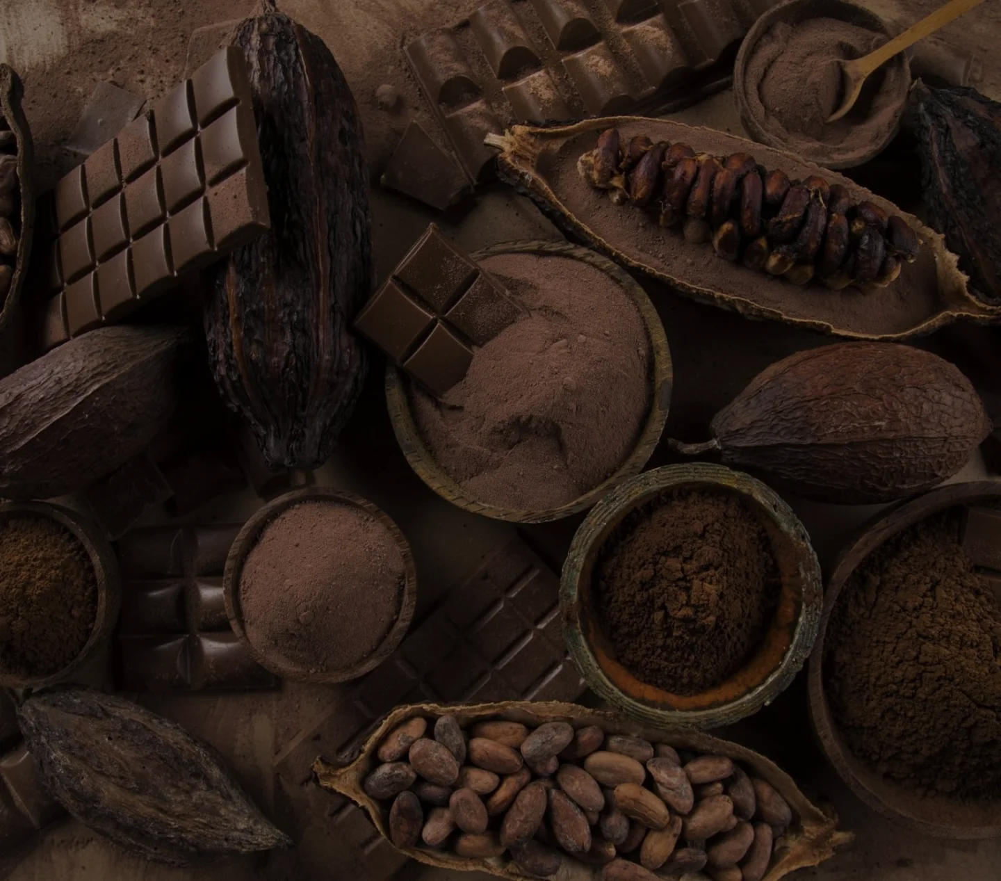 Indonesia Premier Cocoa Powder & Cocoa Ingredients Manufacturer